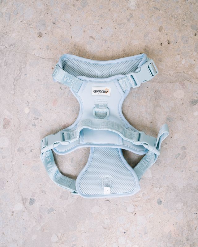 DEXYPAWS - Sky Blue No-Pull Dog Harness