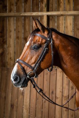 DY&#39;ON - Flash Noseband Bridle with Snap Hooks