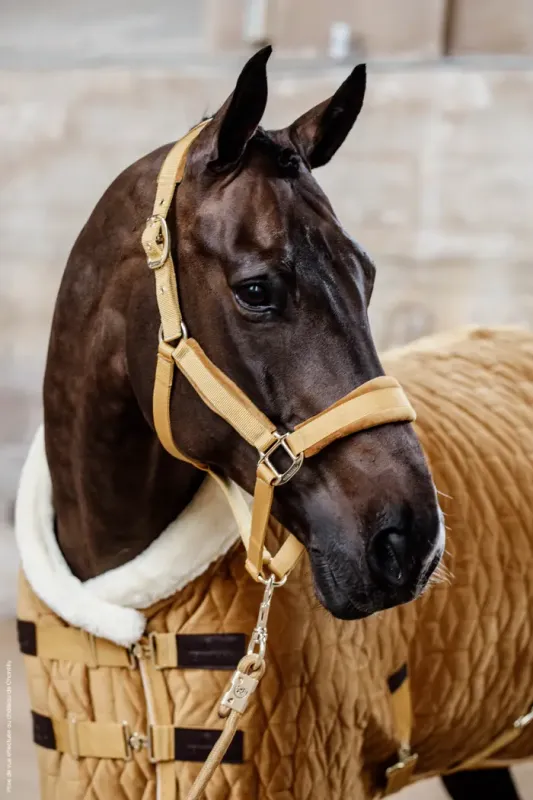 KENTUCKY HORSEWEAR - Velvet Mustard Halter