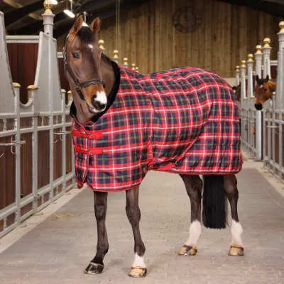 SHIRES EQUESTRIAN - Tempest Plus 200g Stable Rug