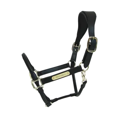 KENTUCKY HORSEWEAR - Anatomic Black Leather Halter