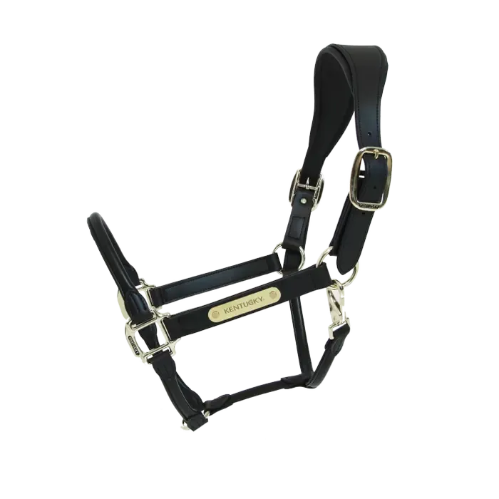 KENTUCKY HORSEWEAR - Anatomic Black Leather Halter