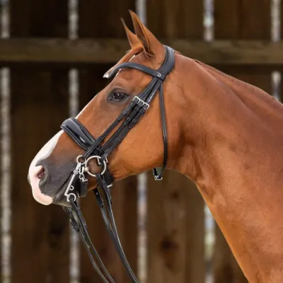 DY&#39;ON - Patent Large Crank Noseband Double Bridle