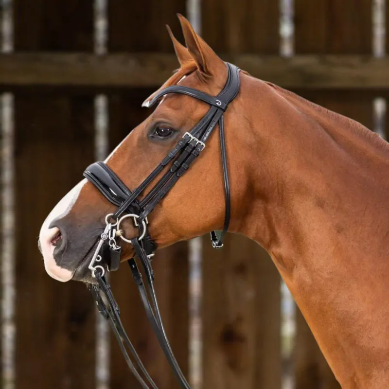 DY&#39;ON - Patent Large Crank Noseband Double Bridle