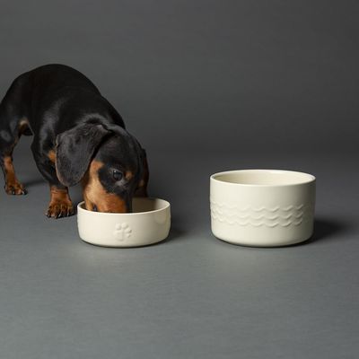 SCRUFFS - Bol Icon Stoneware pour Animaux