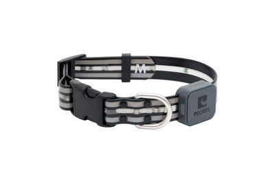 RC PETS - Nova LED Light Collar