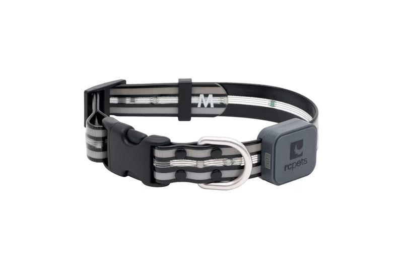 RC PETS - Nova LED Light Collar