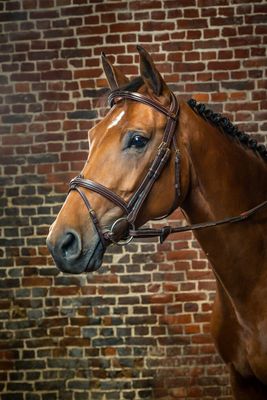 DY&#39;ON - D Collection Flash Noseband Bridle