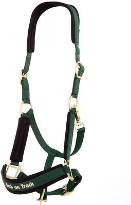BACK ON TRACK - PP Werano Hunter Green Halter