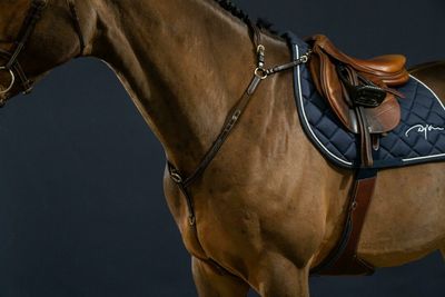 DY&#39;ON - Bridge Breastplate