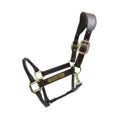 KENTUCKY HORSEWEAR - Anatomic Brown Leather Halter