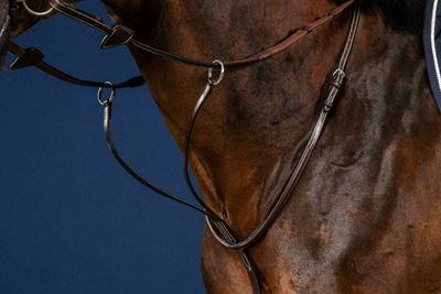 DY&#39;ON - US Jumping Running Martingale