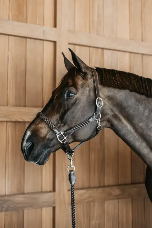 DY&#39;ON - Leather Plaited Halter