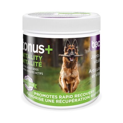 BACI+ - Supplément Tonus+ Vitalité pour Chien Adulte Actif