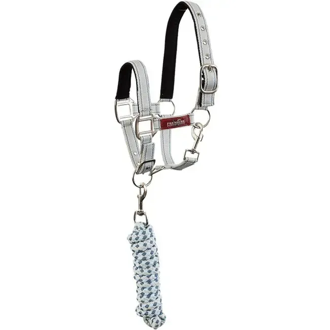 BR EQUESTRIAN - Licou et laisse assortis Vapor Blue