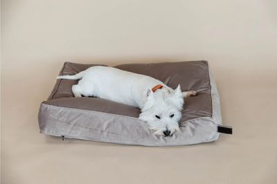 KENTUCKY DOGWEAR - Dog Bed Beige Pillow Velvet