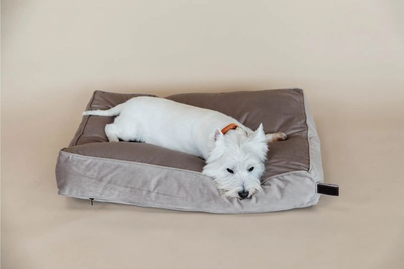 KENTUCKY DOGWEAR - Dog Bed Beige Pillow Velvet