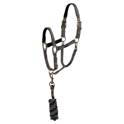 ANKY - Suede Lining Thunderstorm Halter &amp; Lead Rope ATH24