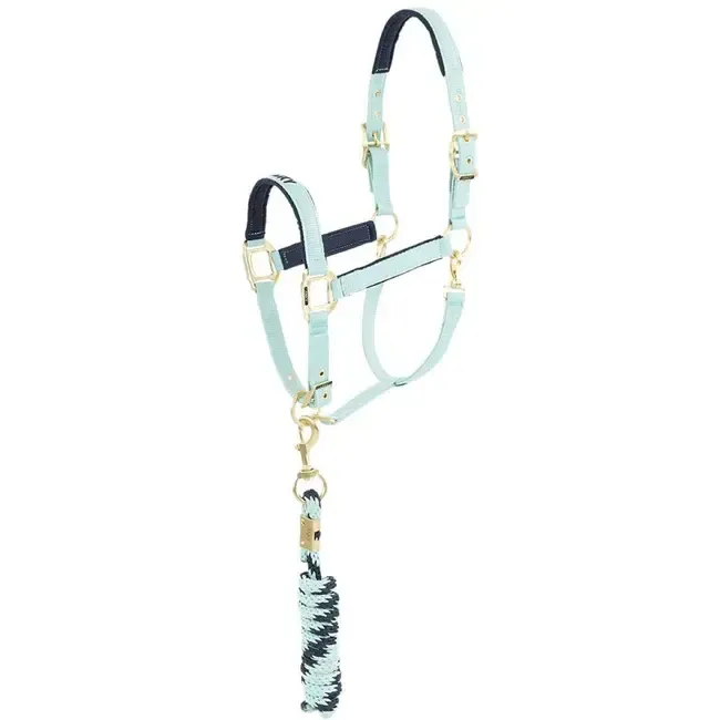 ANKY - Canal Blue Halter and Lead Kit