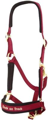 BACK ON TRACK - PP Werano Wine Red Halter