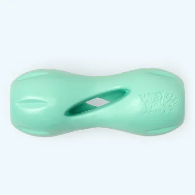 WEST PAW - Jouet Interactif Qwizl Édition Limitée Mint