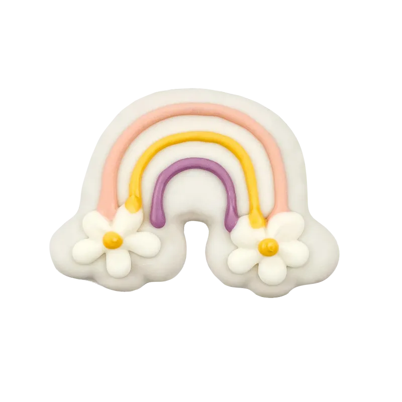 BOSCO &amp; ROXY&#39;S - Rainbow Vibes Only Handmade Spring Cookies