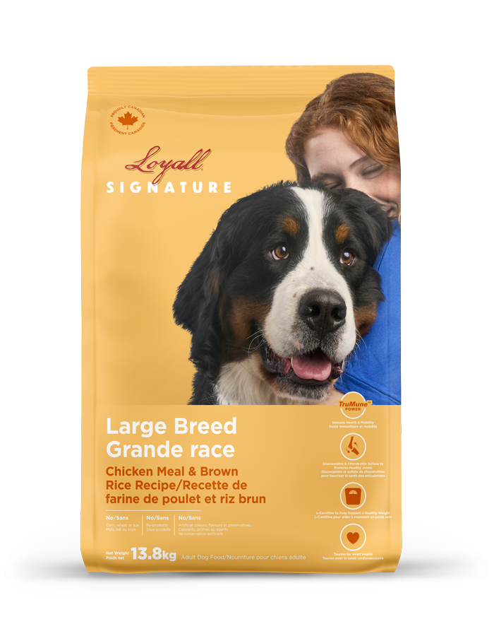 LOYALL - Large breed adult dog