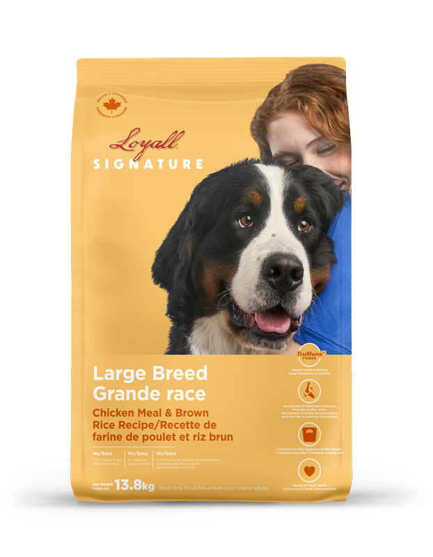 LOYALL - Large breed adult dog