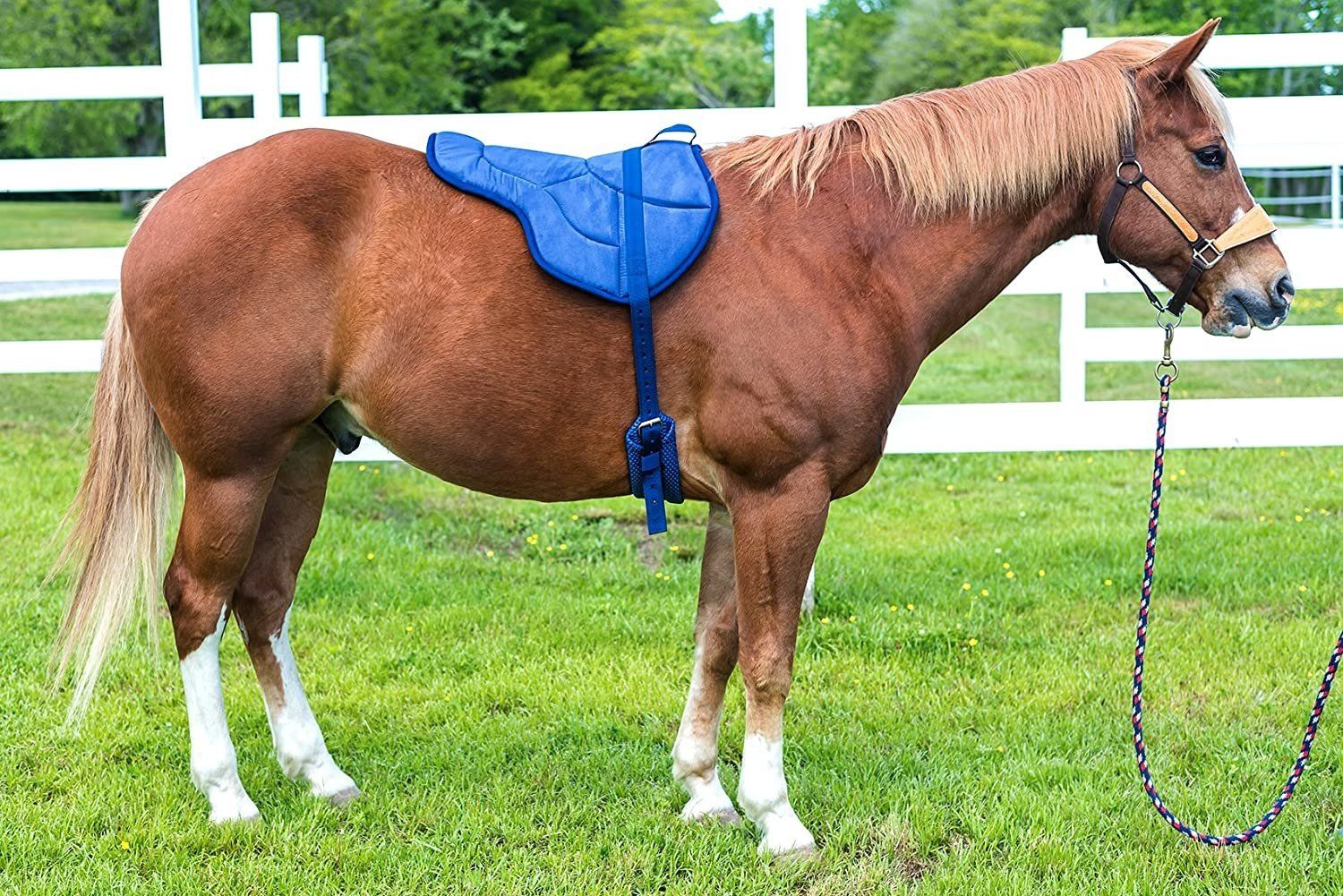 Weaver Equine Tapis de selle de cheval à dos nu en laine de 21 x 35