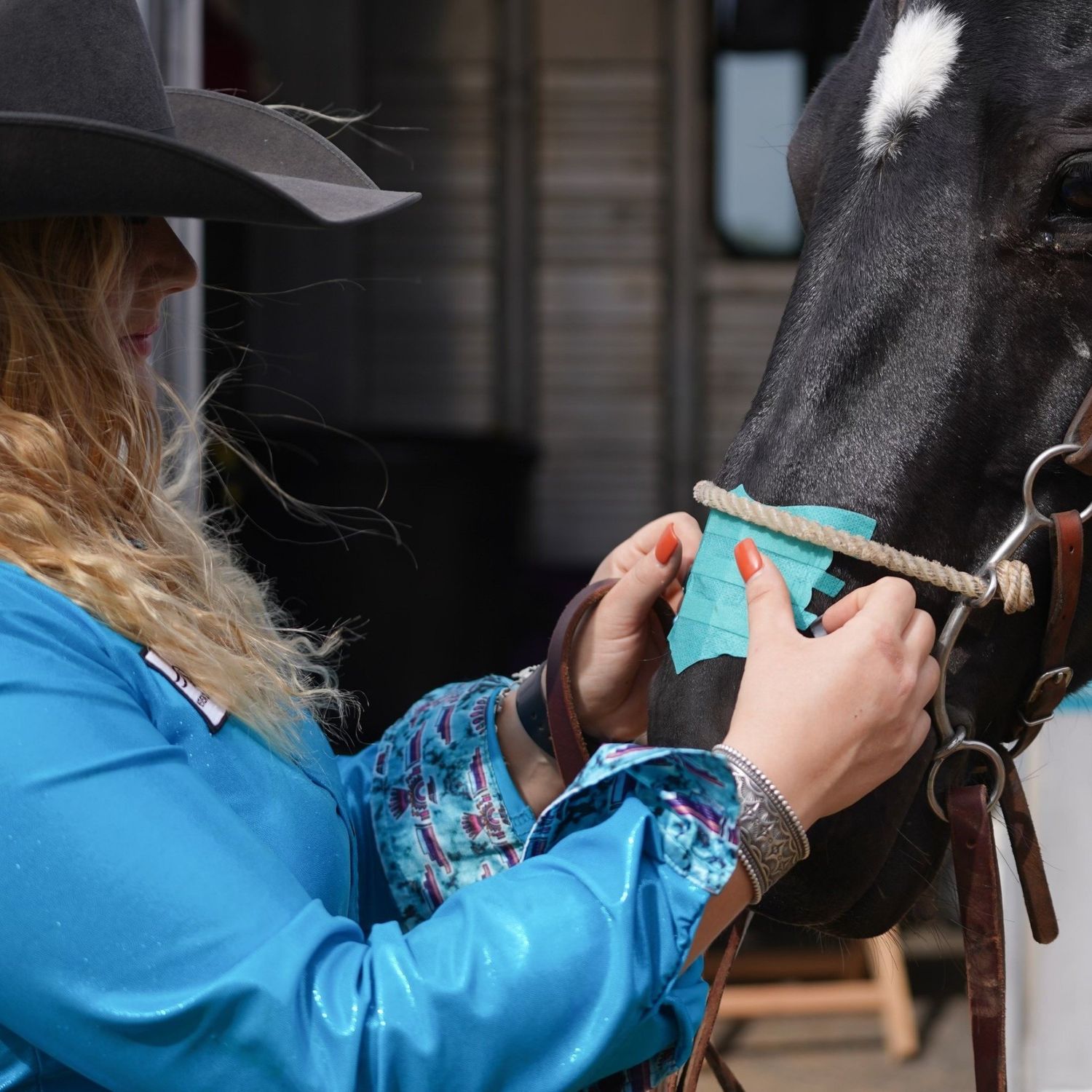 Bandeau Nez De Cheval – équipement D'occasion Pour Cavalier