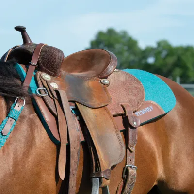 Tapis De Selle 5 Star équitation – Turquoise 30x30 – Laine Naturelle