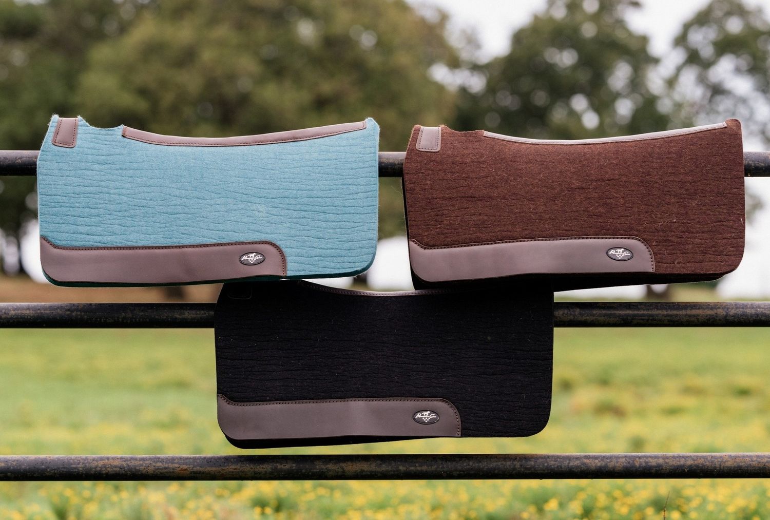 Tapis de selle Amba noir Harcour | OHLALA