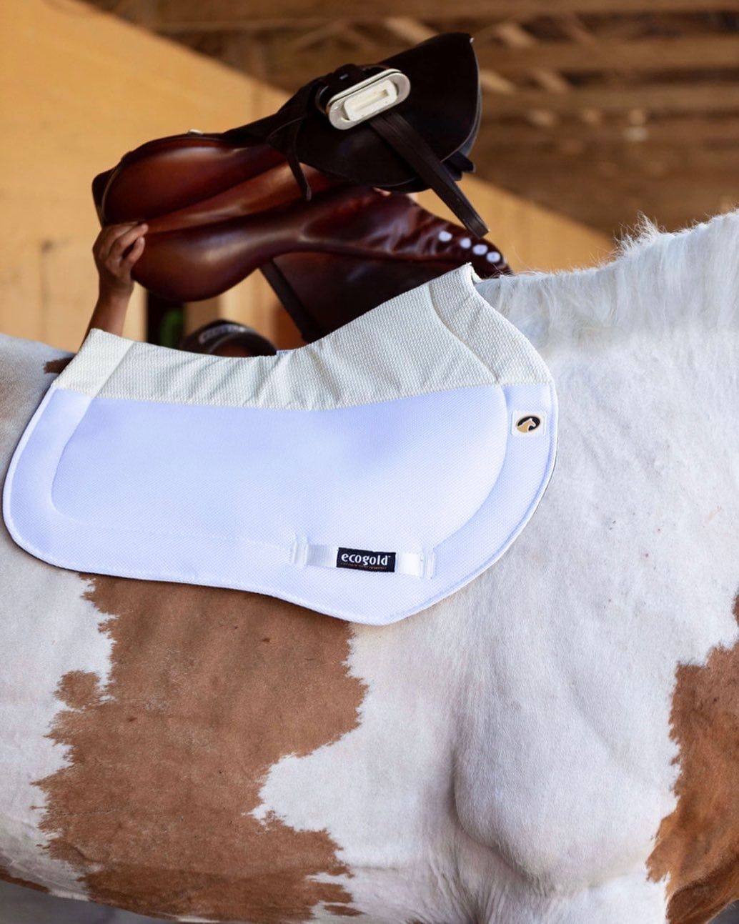 Tapis De Selle EcoGold Secure XC – Occasion, Bon état, Pour Cheval