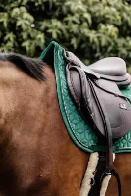 Tapis de selle cheval Shadow Harry's Horse