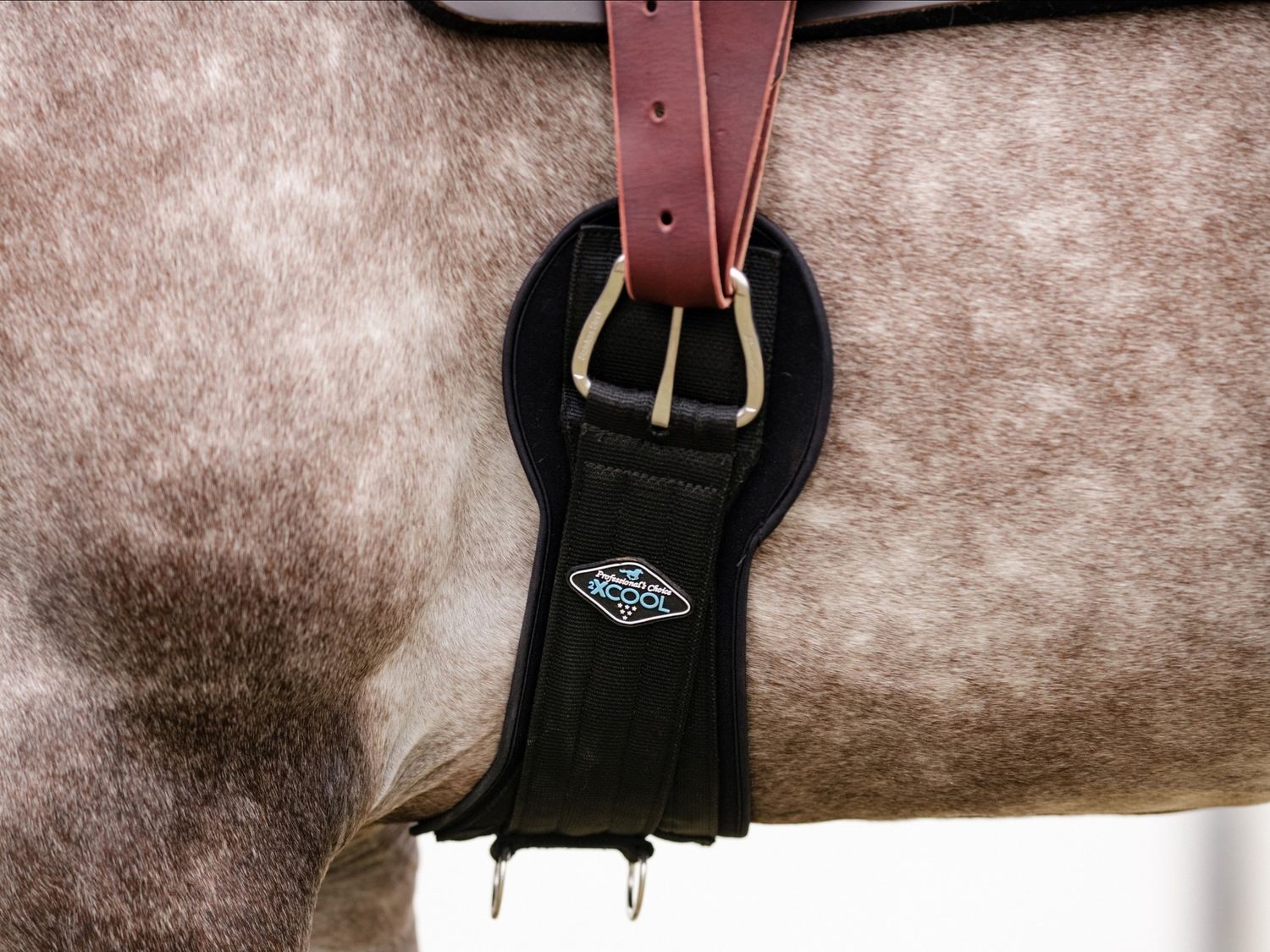 PROFESSIONAL CHOICE - Sangle classique néoprène