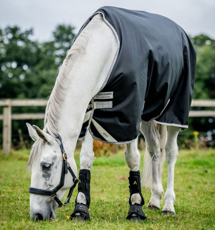 HORSEWARE - Amigo Bravo12 Original Turnout (0g Light) Black