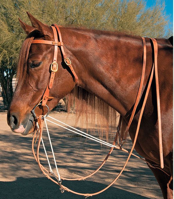 Martingale Allemande Equityum Avec Rênes | Tosoni Selleria
