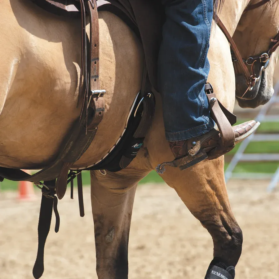 Sangle Western feutre et nylon