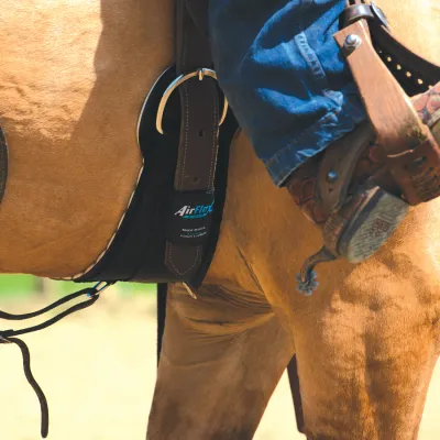 Ensemble Sangle D’attache Et Billet En Nylon Pour Selle Western – Showman Products – Neuf
