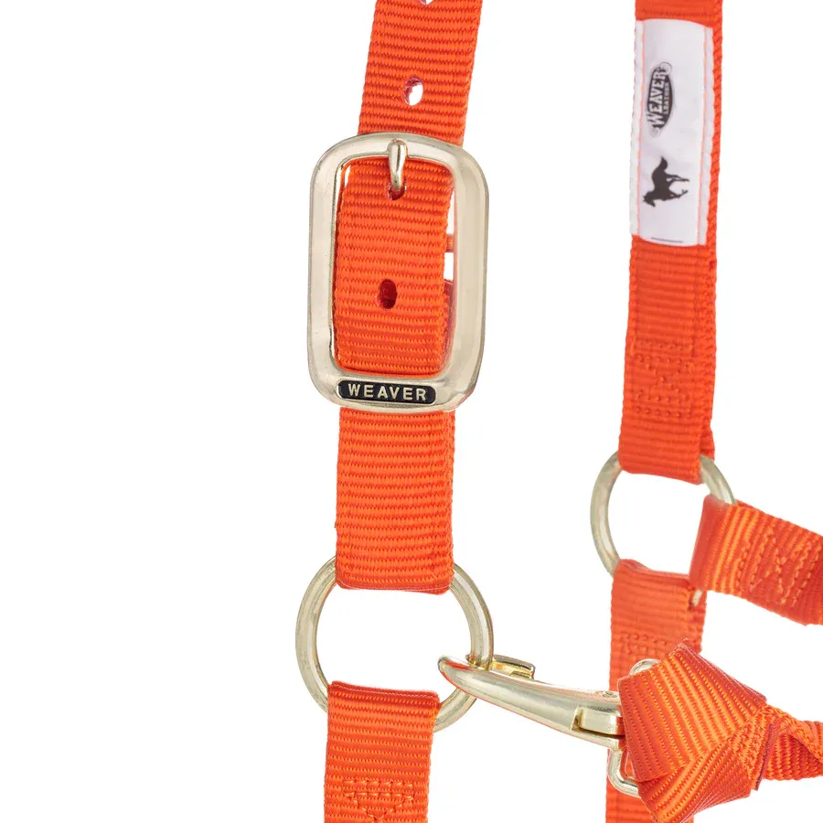 Weaver Leather Licol en nylon réglable pour cheval, Original, Orange