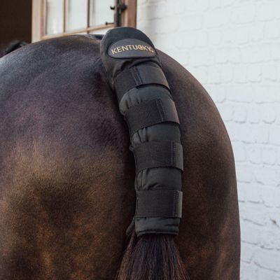 KENTUCKY HORSEWEAR - Tail Guard Pro