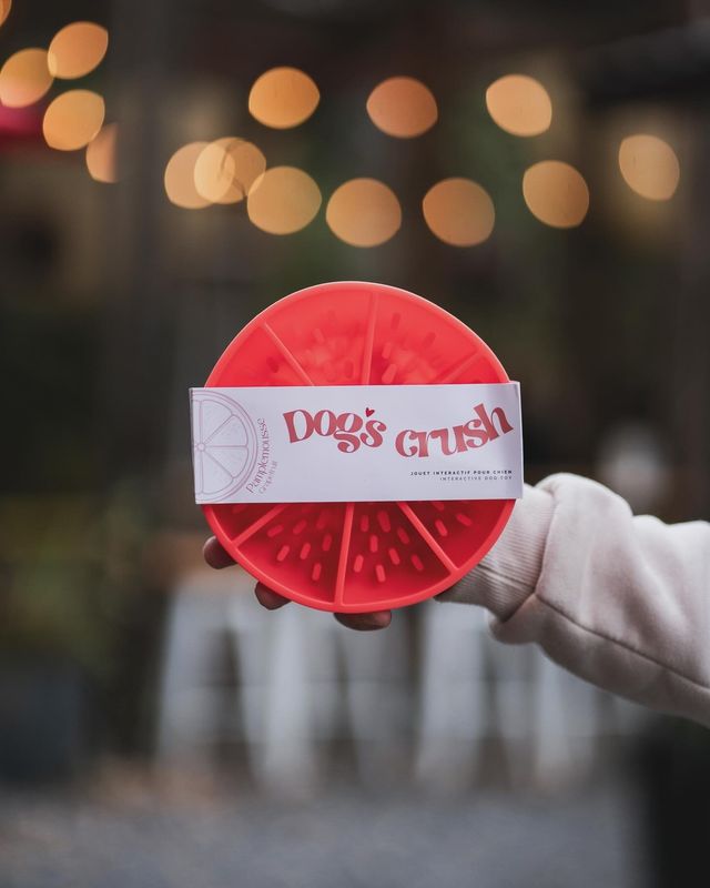 DOG&#39;S CRUSH - Citrus Interactive Dog Slow Feeder