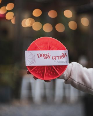 DOG&#39;S CRUSH - Citrus Interactive Dog Slow Feeder