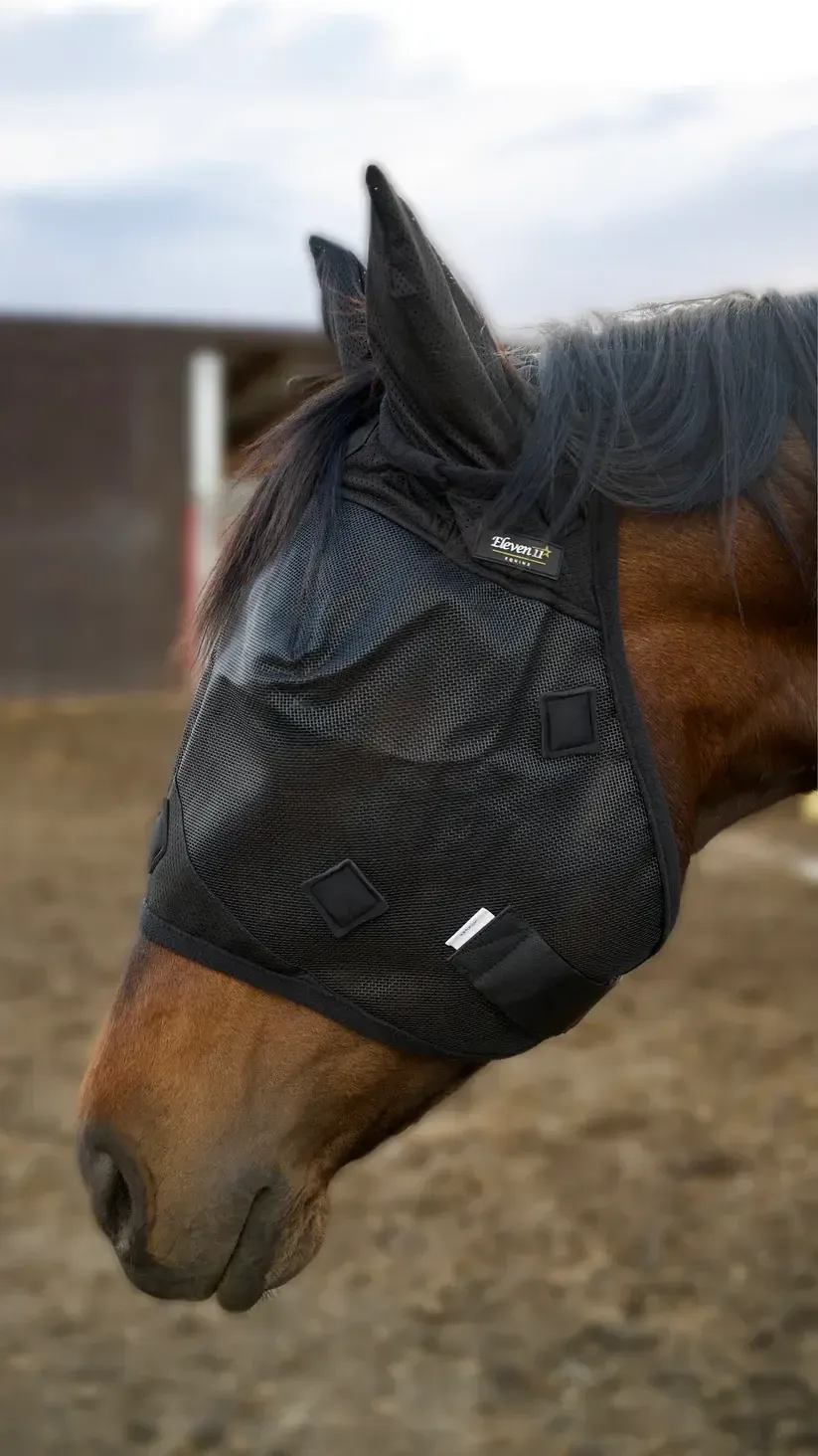 ELEVEN11 - Black Magnetic Fly Mask, Size: Cob