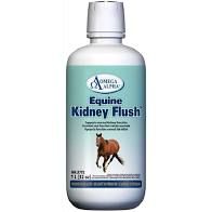 OMEGA ALPHA - Equine kidney flush, Format: 1L