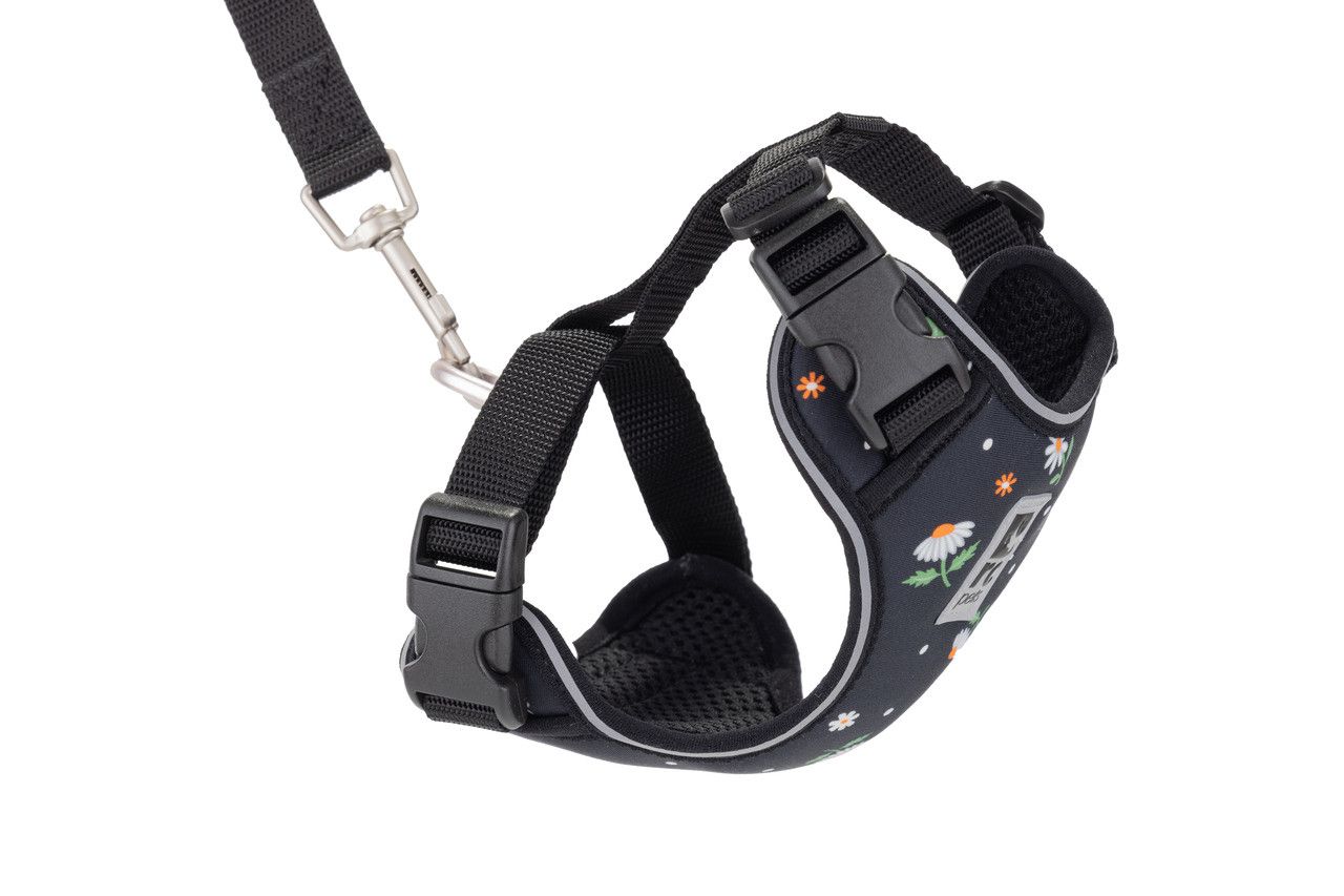 RC PETS - Daisies Adventure Kitty Harness, Size: Small