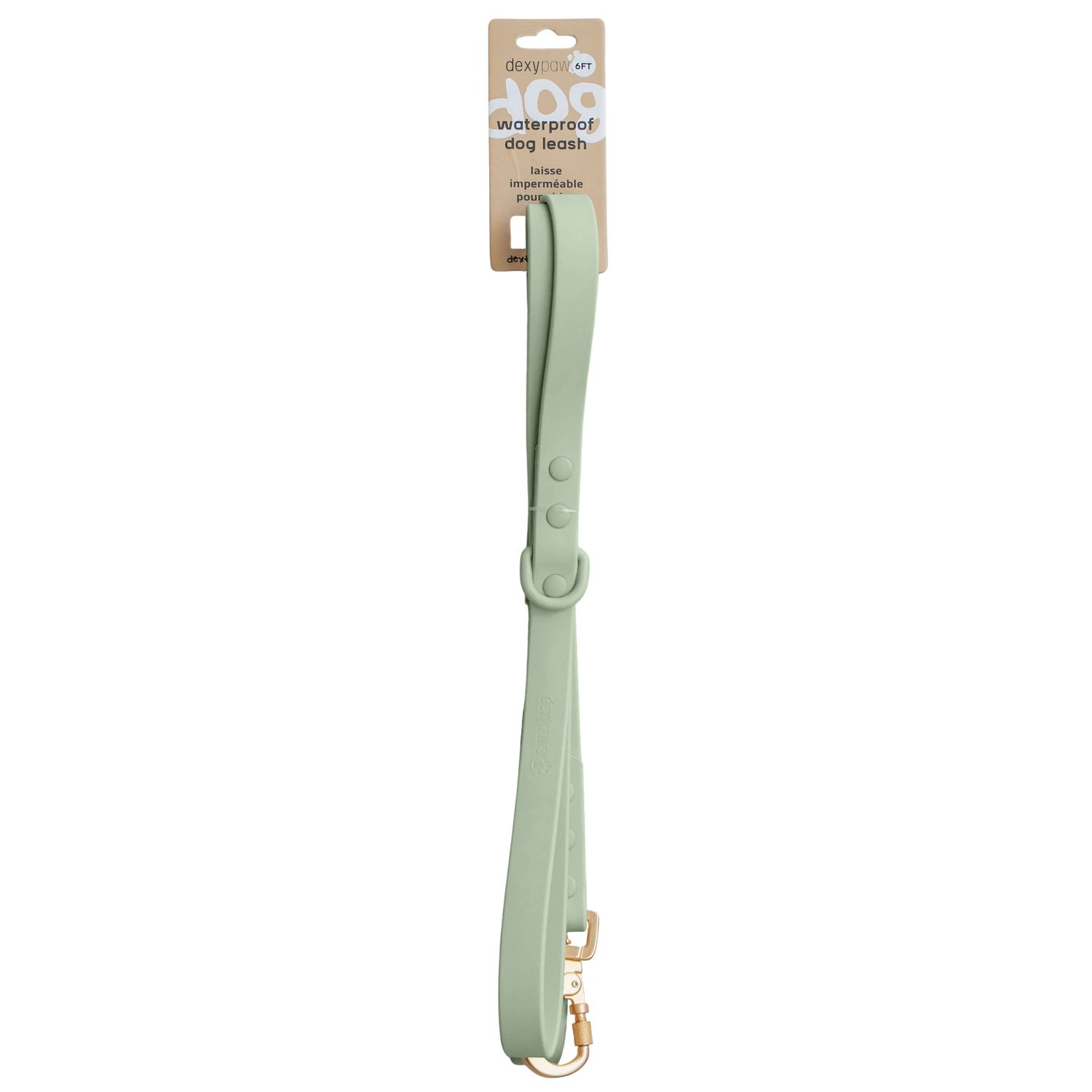DEXYPAWS - Sage Green Waterproof Dog Leash, Size: 5pieds