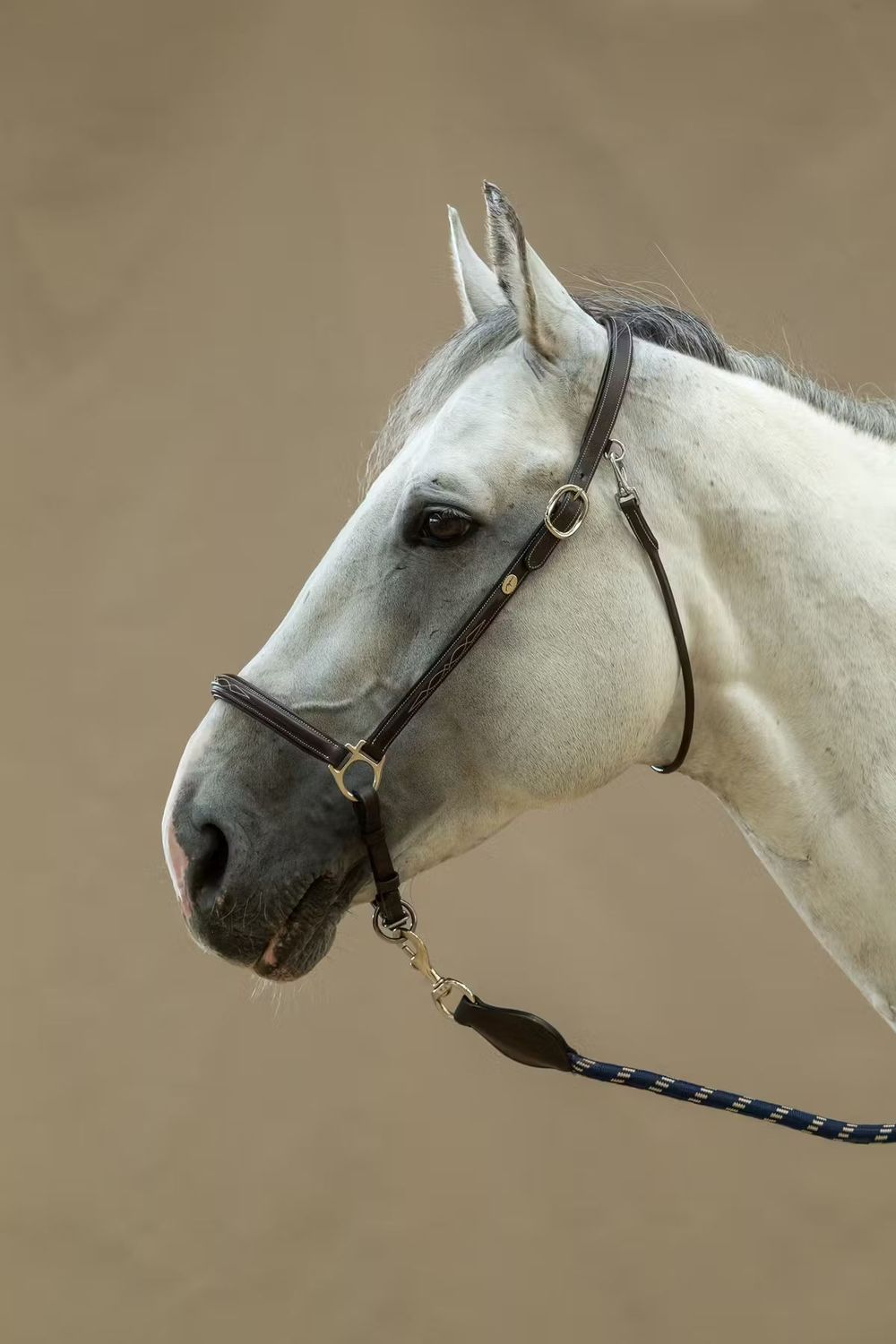 DY&#39;ON - Brown Grooming Halter, Size: Cob