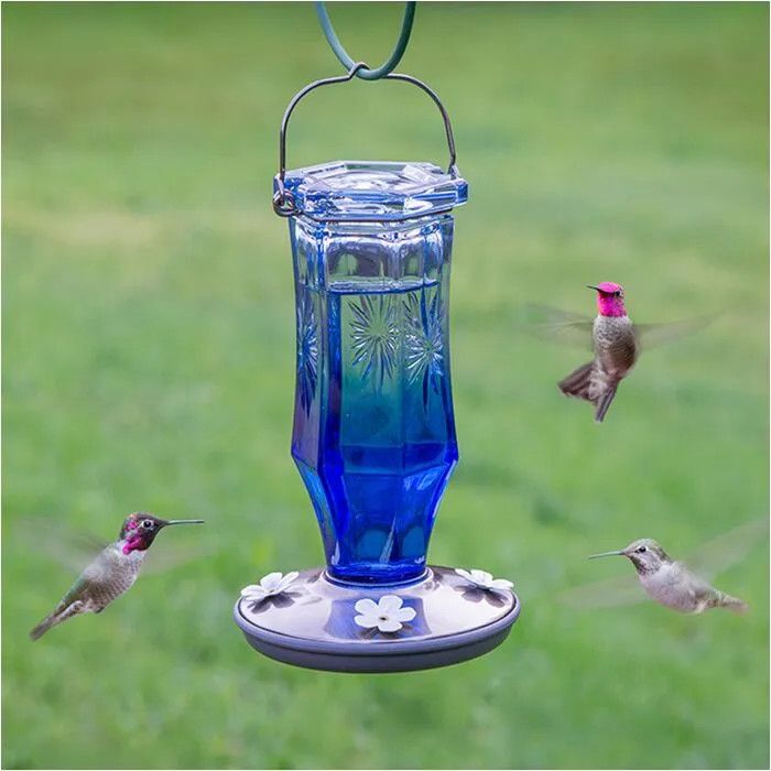PERKY PET - Sapphire Starburst Vintage Glass Hummingbird Feeder, Size: 16oz