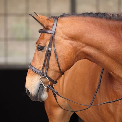 SHIRES EQUESTRIAN - Bridle Avignon Wellington Havana